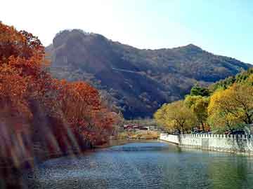 澳門正版免費資源展望，邁向未來的精準(zhǔn)服務(wù)（2025展望），澳門正版資源展望，邁向精準(zhǔn)服務(wù)的未來藍(lán)圖（2025年展望）