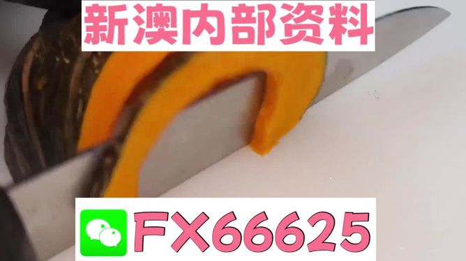 澳門管家婆，揭秘精準預測的秘密武器，澳門管家婆揭秘，精準預測的秘密武器全解析