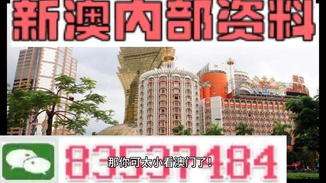 新澳新澳門正版資料，探索與解析，新澳新澳門正版資料深度解析與探索